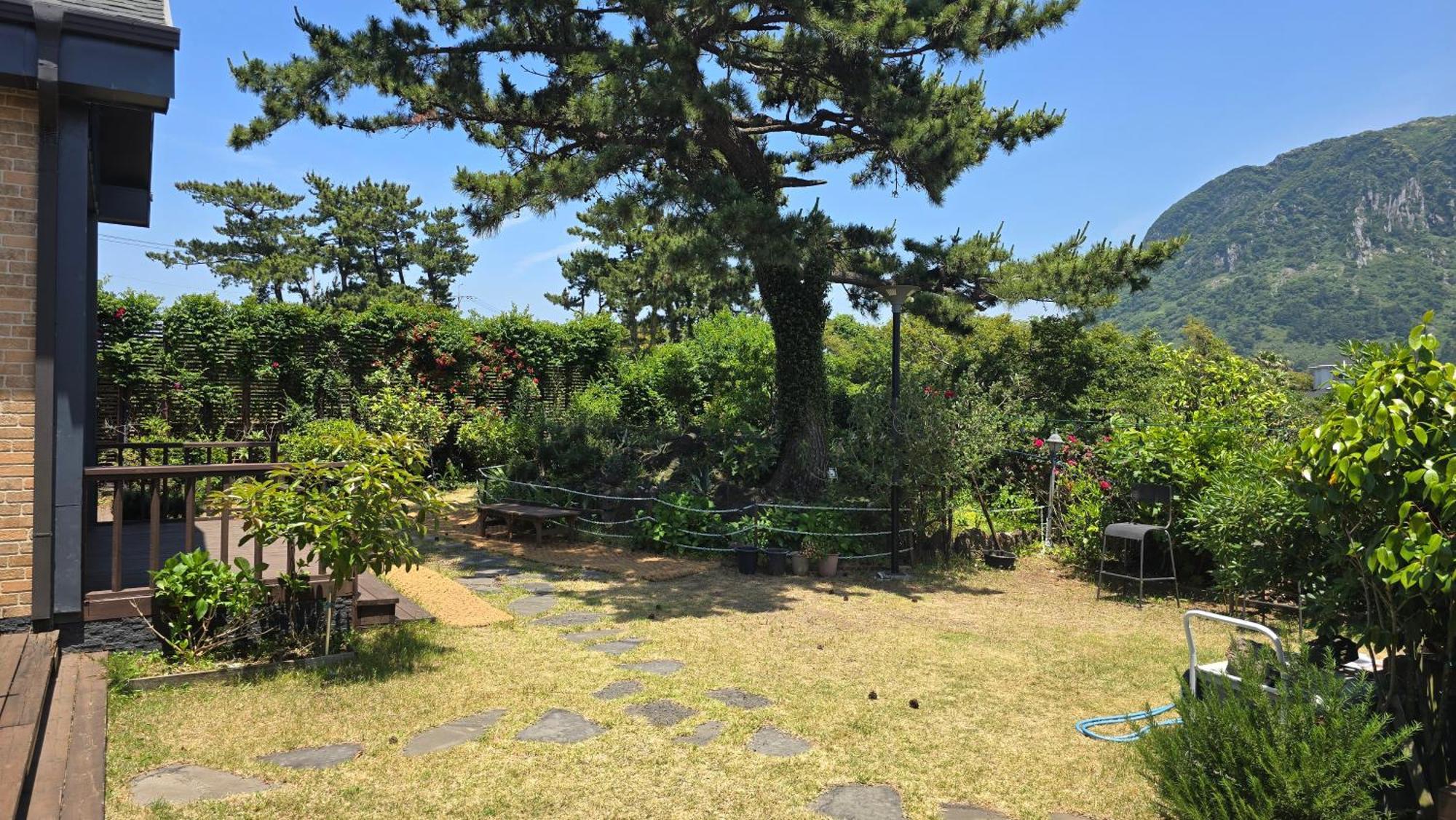 Wind Jeju Cafe & Pension Seogwipo Ngoại thất bức ảnh