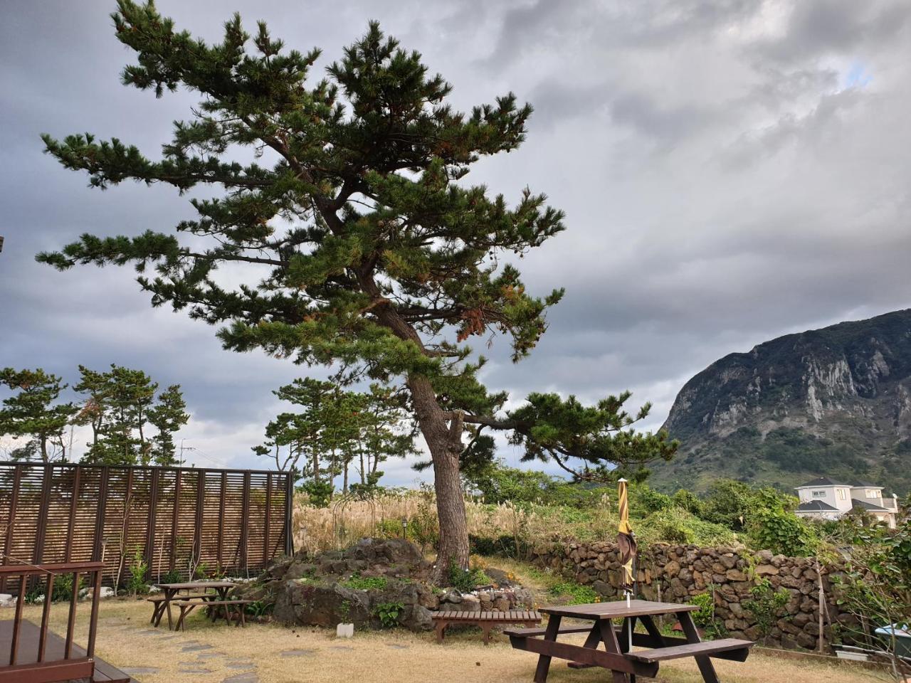 Wind Jeju Cafe & Pension Seogwipo Ngoại thất bức ảnh