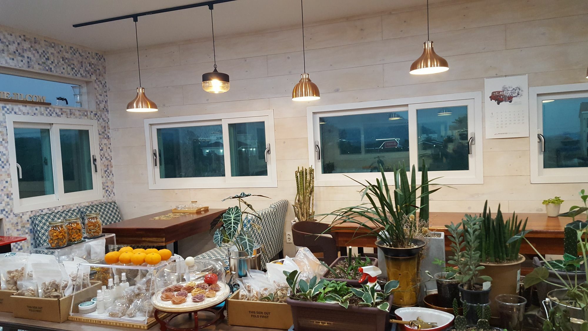 Wind Jeju Cafe & Pension Seogwipo Ngoại thất bức ảnh