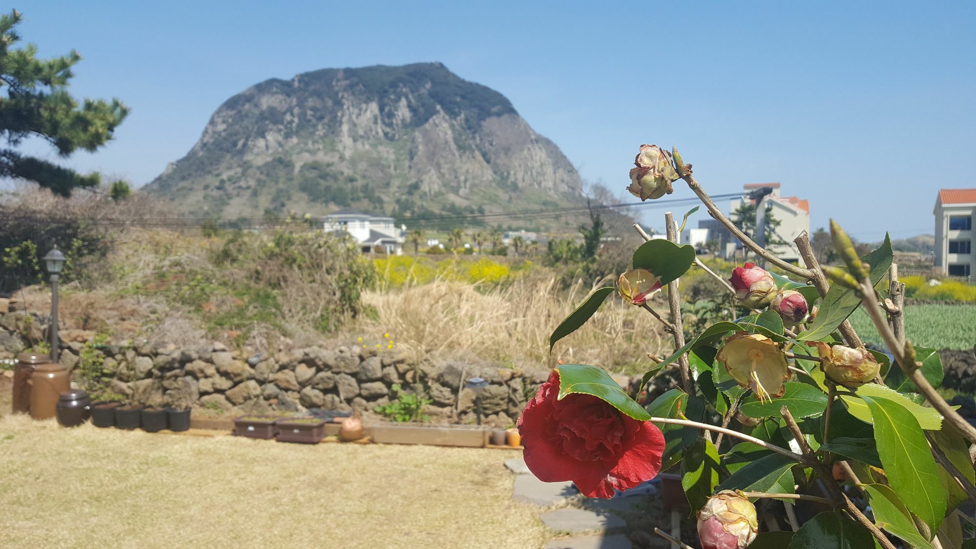 Wind Jeju Cafe & Pension Seogwipo Ngoại thất bức ảnh