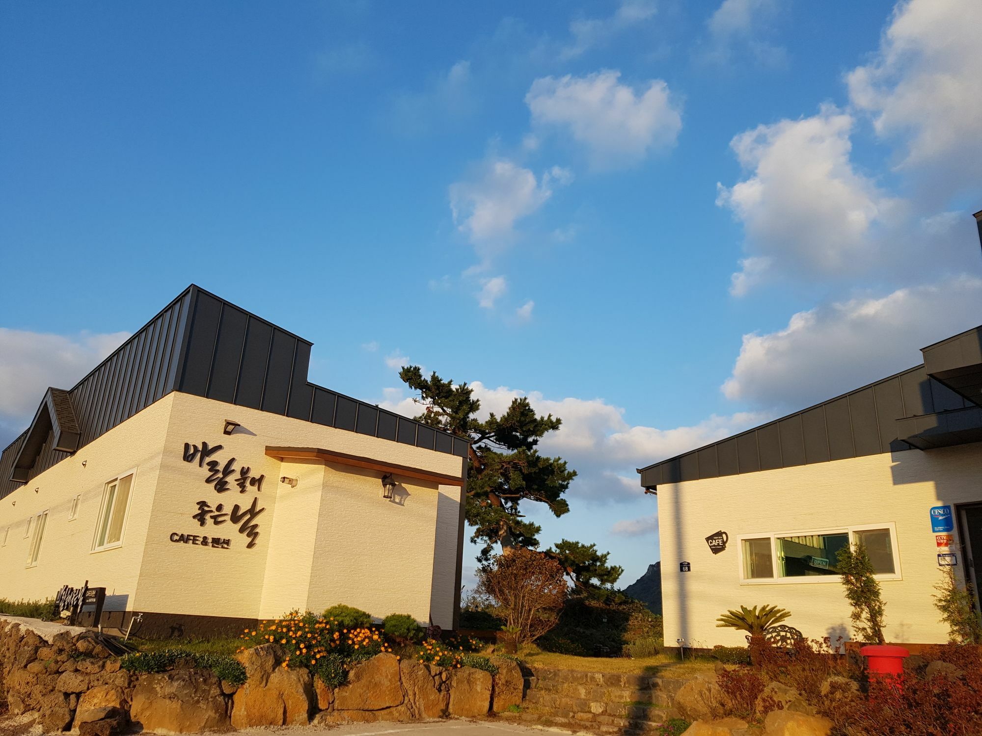 Wind Jeju Cafe & Pension Seogwipo Ngoại thất bức ảnh